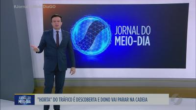 Planta&ccedil;&atilde;o de drogas &eacute; descoberta pela pol&iacute;cia