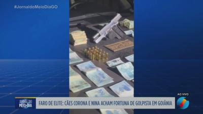 C&atilde;es da PM encontram dinheiro de golpista em Goi&acirc;nia