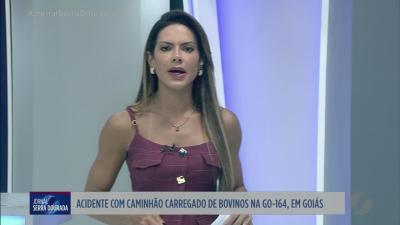 itemPolícia investiga possível assassinato após ossada ser encontrada