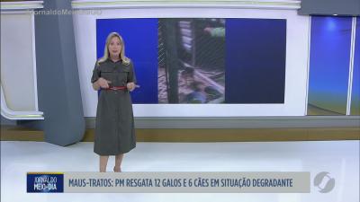 PM resgata c&atilde;es e galos em situa&ccedil;&atilde;o degradante em Cristian&oacute;polis