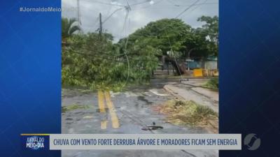 itemChuva com vento derruba árvore e moradores ficam sem energia no Parque Atheneu em Goiânia