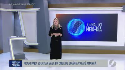 itemPrazo para solicitar vaga em CMEIs de Goiânia vai até amanhã