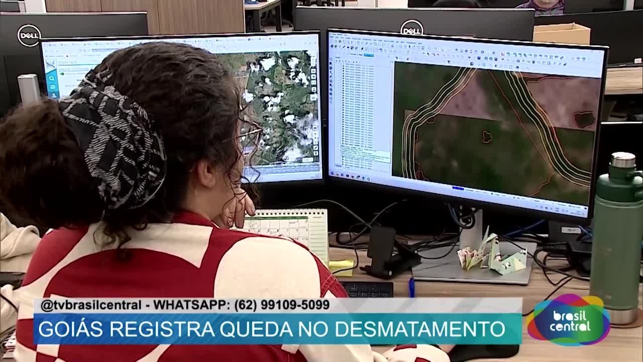 itemGoiás registra queda no Desmatamento