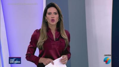 itemDono de bar cultivava pés de maconha, em Aparecida de Goiânia