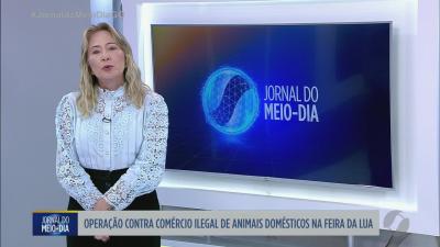 PRF encontra 97 ampolas de morfina em &ocirc;nibus na BR-060