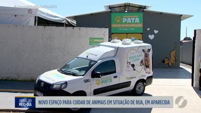 Novo espa&ccedil;o acolhe animais de rua em Aparecida de Goi&acirc;nia