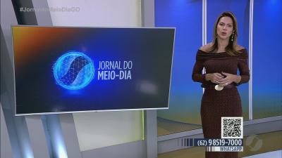 Cachorrinha encontrada em Goi&acirc;nia