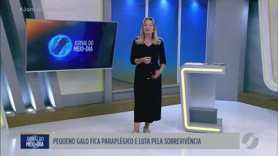 itemAcidente entre carro e caminhonete mobiliza resgate