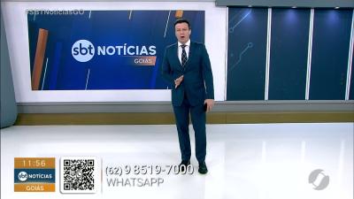 Motociclista morre ap&oacute;s bater em vaca na rodovia