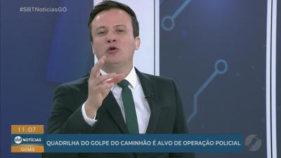 Cachorrinho cadeirante ajuda polícia a encontrar suspeito