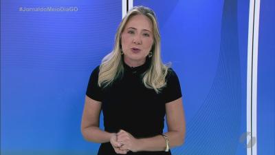 Cachorrinho desaparecido mobiliza buscas