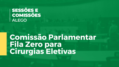 Imagem de capa do vídeo - Comissão Parlamentar Fila Zero para Cirurgias Eletivas