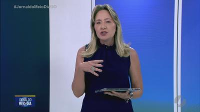 Papagaio preso em telhado &eacute; resgatado sem ferimentos