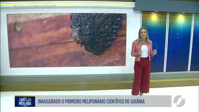 itemInaugurado o primeiro Meliponário científico de Goiânia
