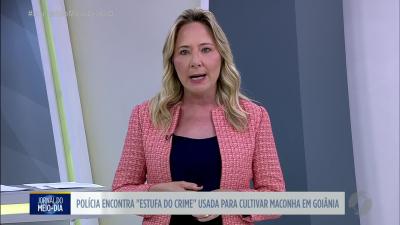 itemPM encontra estufa usada para cultivar maconha em Goiânia