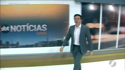 itemCães de rua envenenados na praça dos Violeiros em Goiânia
