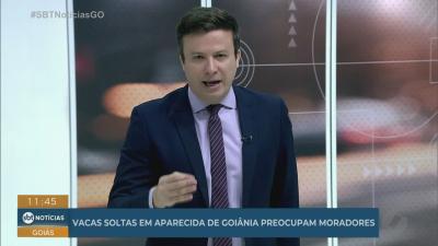itemPrazo para pagamento do IPTU com desconto em Senador Canedo termina hoje