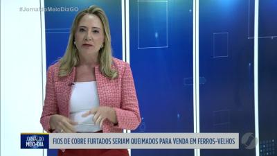 itemBombeiros resgatam gato preso em aparelho de academia