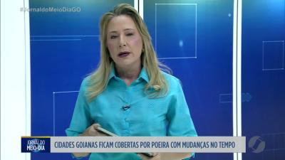 itemIncêndios em ecopontos de Goiânia colocam população em risco