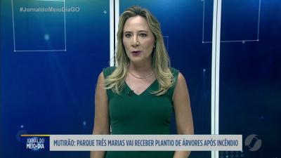 itemParque Três Marias em Goiânia vai receber plantio de árvores