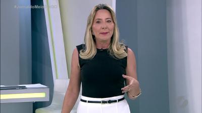 Mutir&atilde;o de castra&ccedil;&atilde;o de c&atilde;es e gatos em Aparecida de Goi&acirc;nia