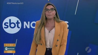 Criatividade e amor - estilista transforma pets com roupas incr&iacute;veis