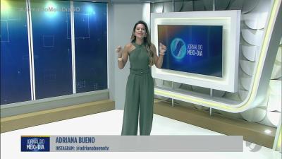 itemAmbulância bate em cavalo solto na GO-070 em Inhumas, animal morreu