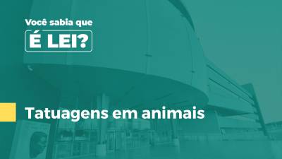 Imagem de capa do vídeo - Tatuagens em animais