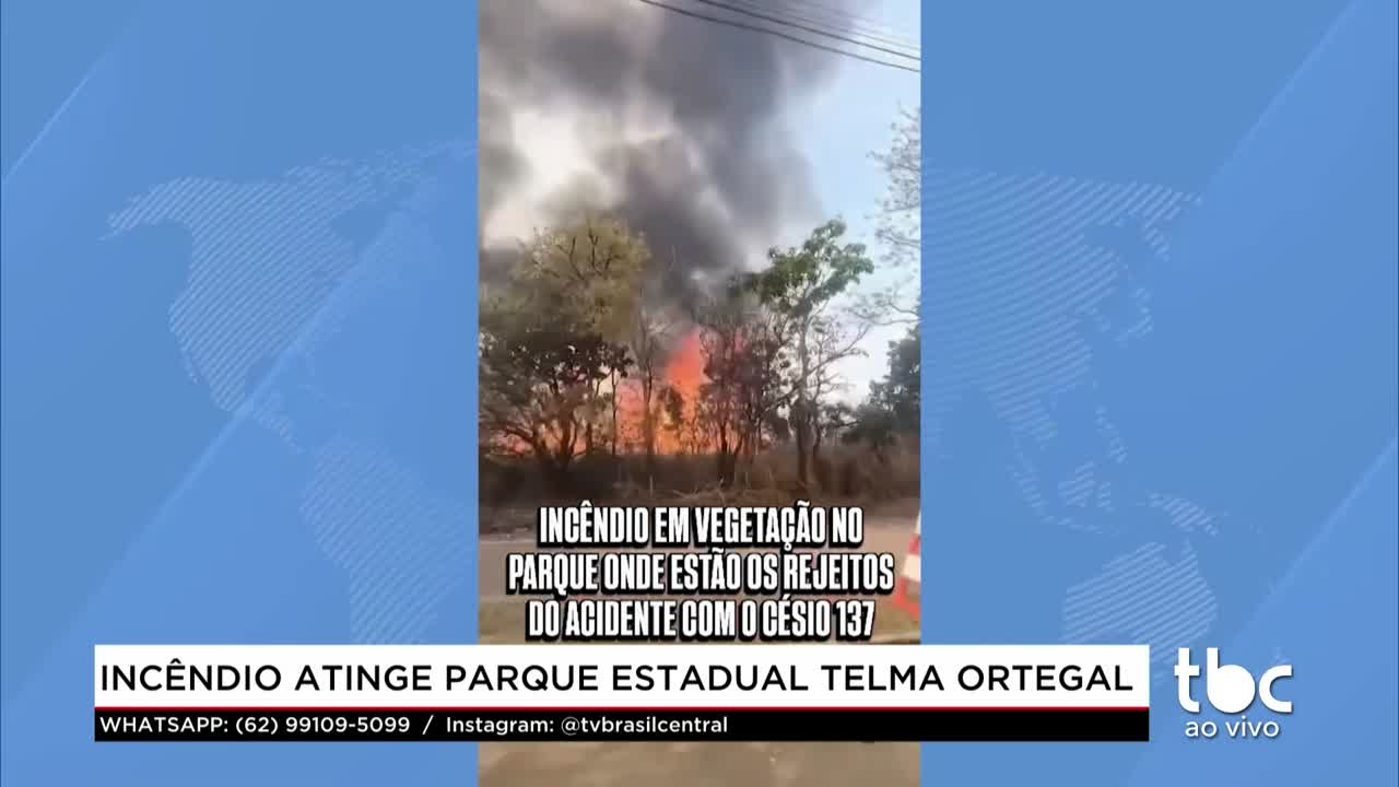 itemIncêndio atinge Parque Estadual Telma Ortegal