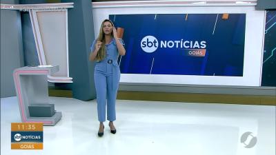 itemCães de rua recebem cuidados e treinamento para encontrar um lar