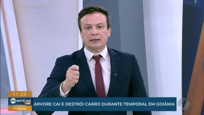 Árvore cai sobre carro durante temporal em Goiânia