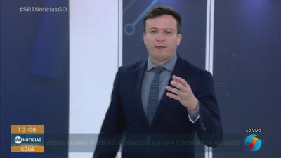 Cachorrinha resgatada est&aacute; a espera de ado&ccedil;&atilde;o