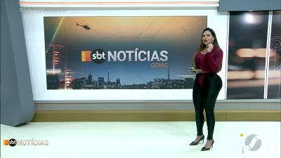 Cadelinha Pititica ganha tratamento após caso ser mostrado no SBTN GO
