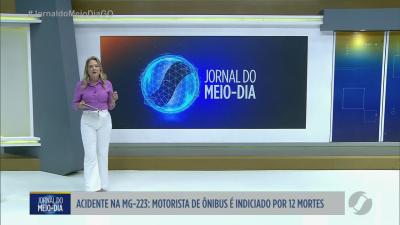 itemMotorista de ônibus é indiciado por 12 mortes em acidente na MG-223