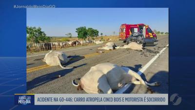 Carro atinge cinco bois na GO-446 e motorista precisa de socorro