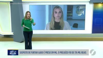 itemSuspeito de furtar gado é preso, prejuízo de mais de 170 mil reais