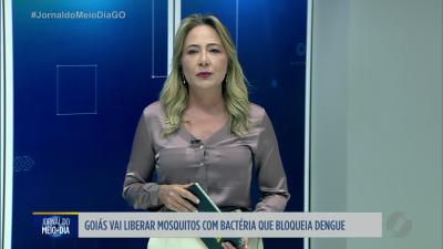 itemTemporada do Rio Araguaia movimenta praias e atrai turistas