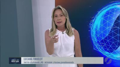 Animal solto causa acidente na GO-132