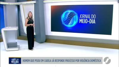 itemHomem que pisou em cadela já responde processo por violência doméstica