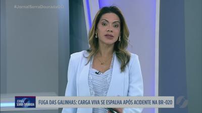 Carga de galinhas se espalha após acidente na BR-020
