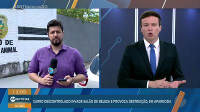 itemInvestigação - cachorro comunitário sofre queimaduras graves após ataque