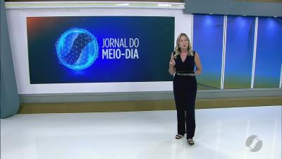 Cachorrinhos encontrados aguardam donos