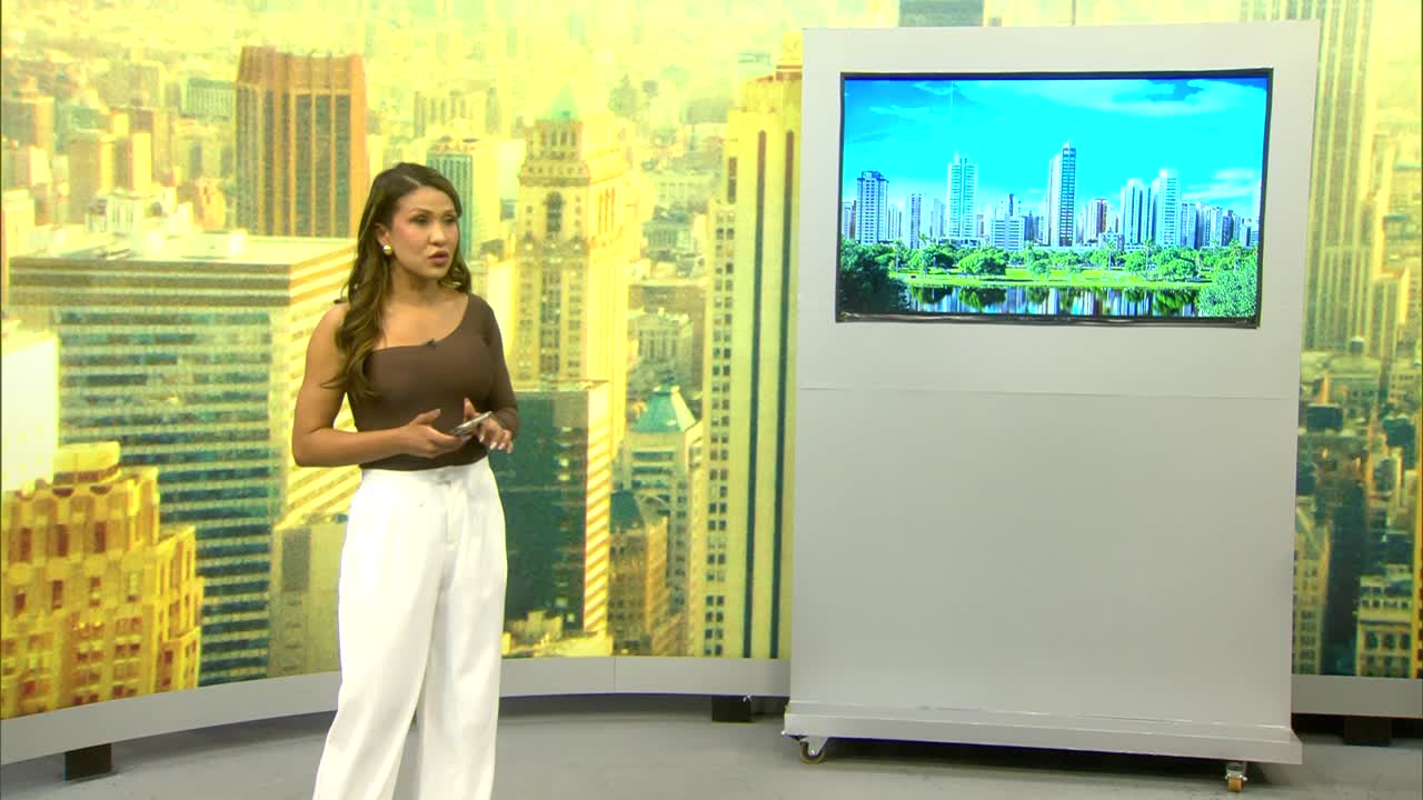 itemGoiás Social chega na Região Sul do Estado