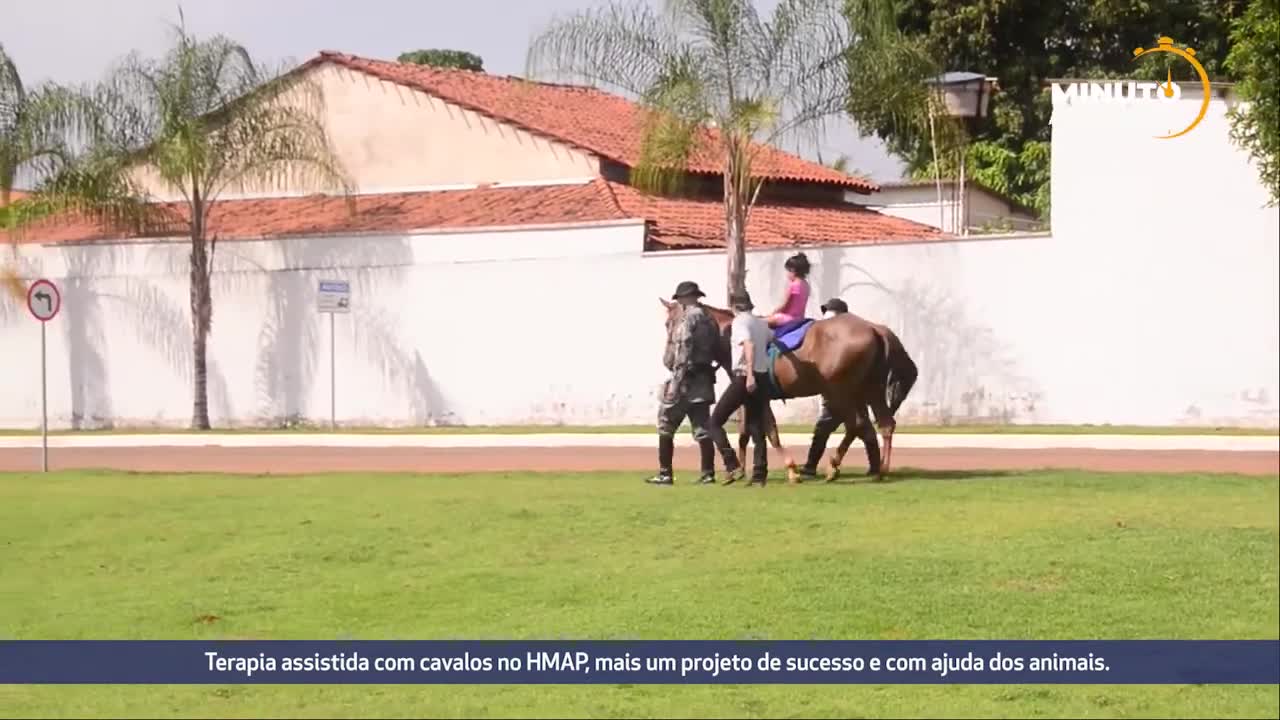Terapia assistida com cavalos no HMAP