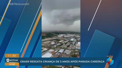 Graer apreende 130 kg de skunk em opera&ccedil;&atilde;o contra tr&aacute;fico