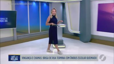 &Ocirc;nibus escolar &eacute; queimado em Cristalina