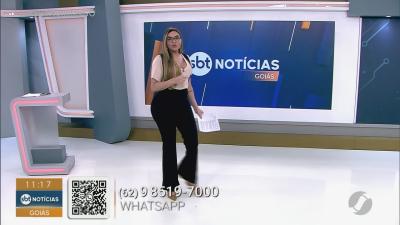 Bombeiros resgatam c&atilde;o idoso que caiu em c&oacute;rrego