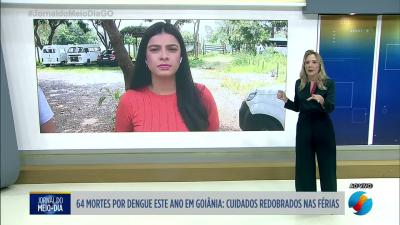 itemDengue, cuidados redobrados nas férias