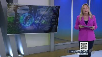 Fam&iacute;lia procura por cachorrinha levada por uma mulher no Setor Ja&oacute; em Goi&acirc;nia