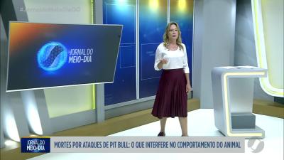 itemJustiça concede liberdade provisória para mãe de criança atacada por pitbull